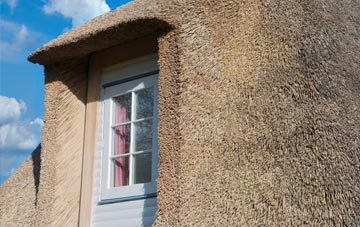 Arrisa thatch roof disadvantages