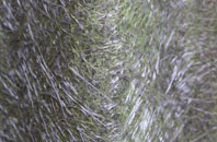 Arrisa fibreglass roof work