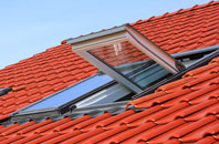 Arrisa roof window
